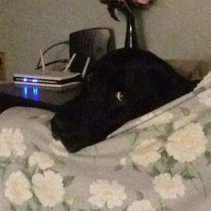 Meet your Posher, Derek